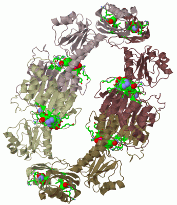 Image Biol.Unit 1 - manually