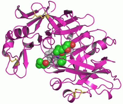 Image Asym./Biol. Unit - manually