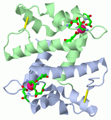 Image Asym./Biol. Unit - manually