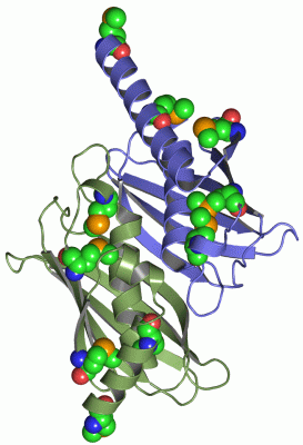 Image Asym./Biol. Unit - manually