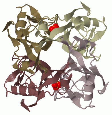 Image Biol.Unit 1 - manually