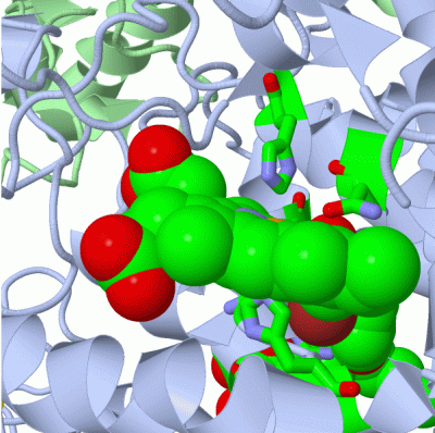 Image Asym./Biol. Unit - manually