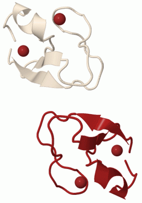 Image Biol.Unit 1 - manually