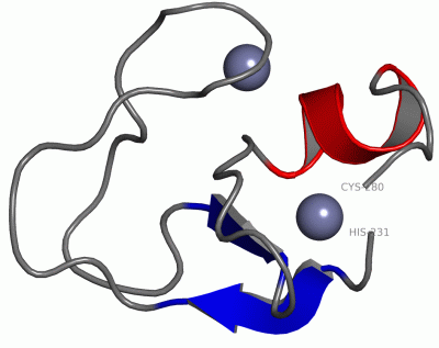 Image Asym.Unit - manually