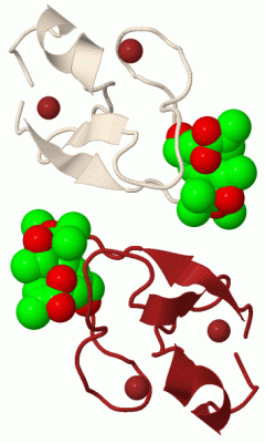 Image Biol.Unit 1 - manually