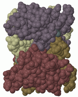 Image Biol.Unit 1 - manually