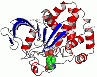 Image Asym./Biol. Unit - manually