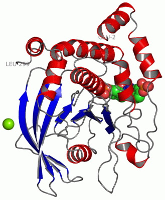 Image Asym./Biol. Unit - manually