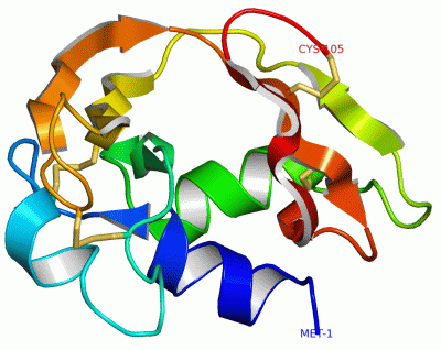 Image NMR Structure - manually