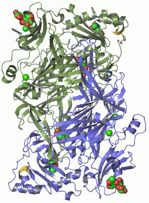 Image Asym./Biol. Unit - manually