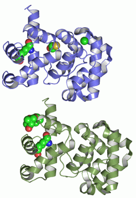 Image Asym.Unit - manually