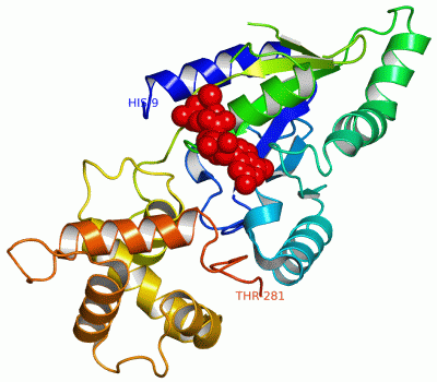 Image Asym./Biol. Unit - manually