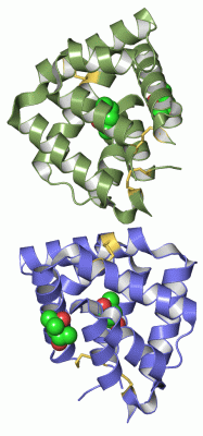Image Asym./Biol. Unit - manually