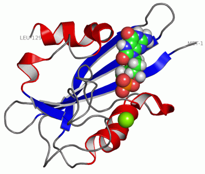 Image NMR Structure - manually