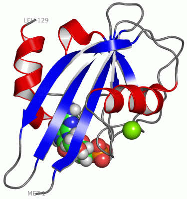 Image NMR Structure - manually