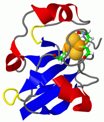 Image NMR Structure - manually