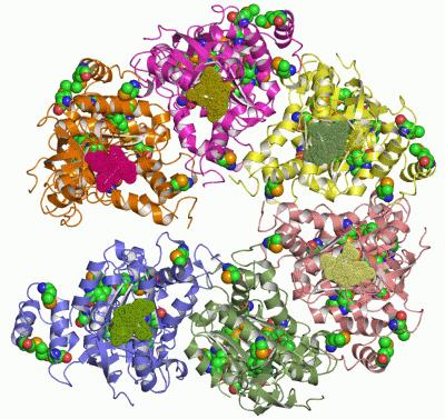 Image Asym./Biol. Unit - manually