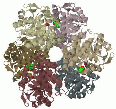 Image Biol.Unit 1 - manually