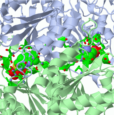 Image Asym./Biol. Unit - manually