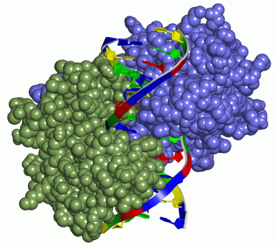 Image Asym./Biol. Unit - manually