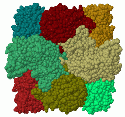 Image Biol.Unit 1 - manually