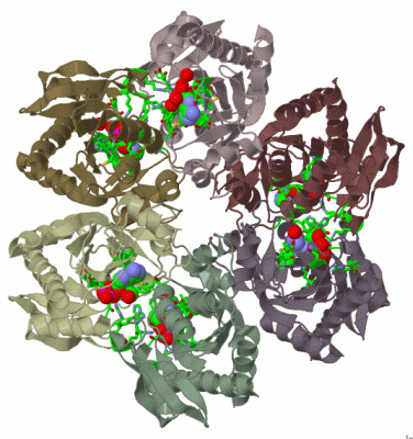 Image Biol.Unit 1 - manually
