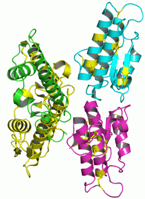 Image Asym./Biol. Unit - manually