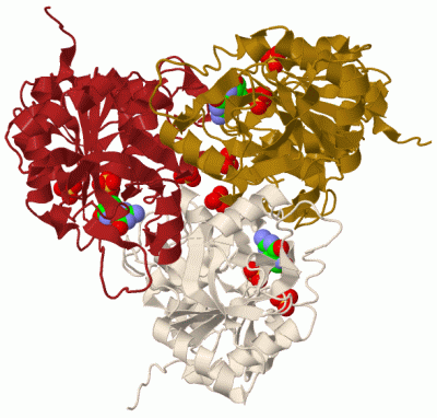 Image Biol.Unit 1 - manually