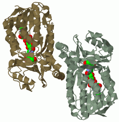 Image Biol.Unit 1 - manually