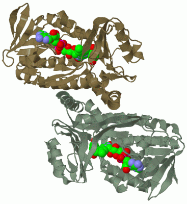 Image Biol.Unit 1 - manually