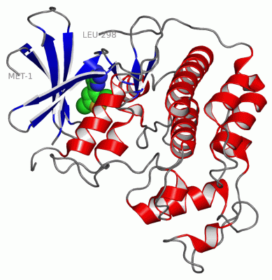 Image Asym./Biol. Unit - manually