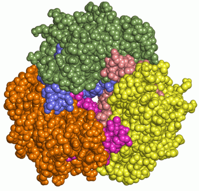 Image Asym./Biol. Unit - manually