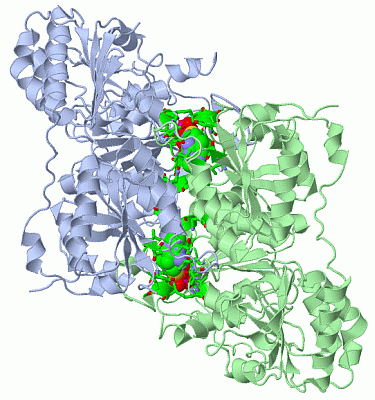 Image Asym./Biol. Unit - manually