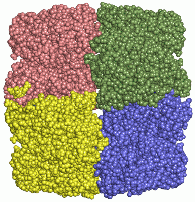 Image Asym./Biol. Unit - manually