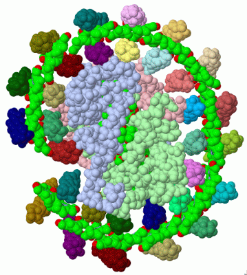 Image Asym./Biol. Unit - manually