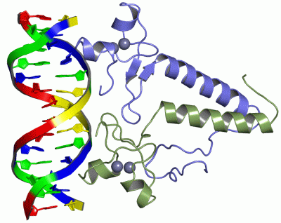 Image Asym./Biol. Unit - manually