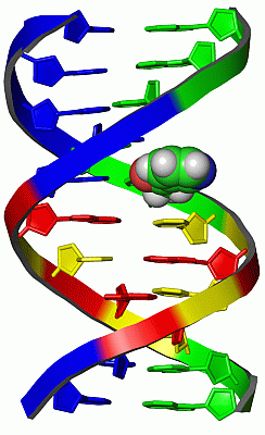 Image NMR Structure - manually