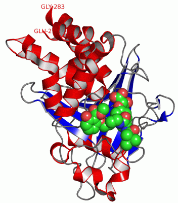 Image Asym./Biol. Unit - manually