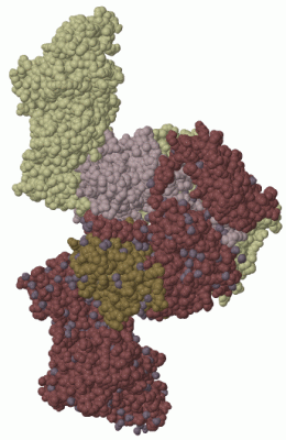 Image Biol.Unit 1 - manually