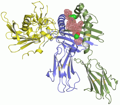 Image Asym./Biol. Unit - manually