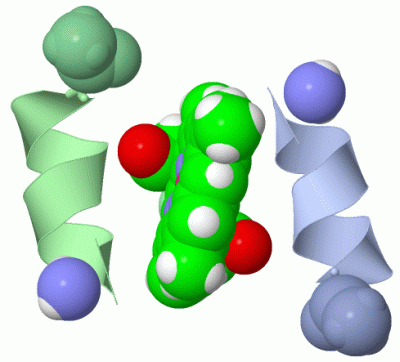 Image Asym.Unit - manually