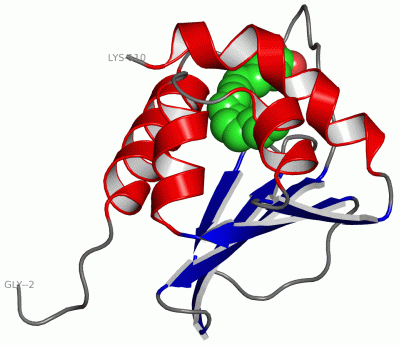 Image Asym./Biol. Unit - manually