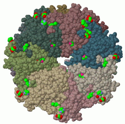 Image Biol.Unit 1 - manually