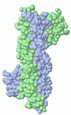 Image Asym./Biol. Unit - manually