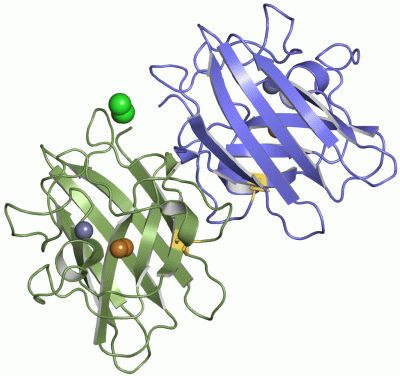 Image Asym.Unit - manually