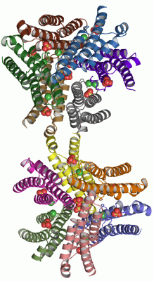 Image Asym.Unit - manually