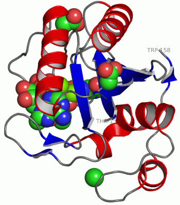 Image Asym./Biol. Unit - manually