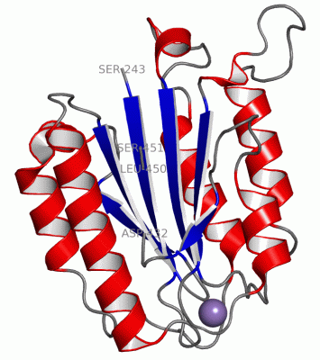 Image Asym./Biol. Unit - manually