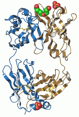 Image Asym./Biol. Unit - manually