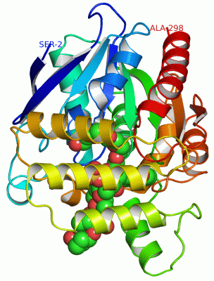 Image Asym./Biol. Unit - manually